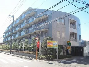 ヴェルドゥミールの画像