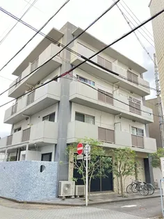 ドマーニ鷹匠の画像