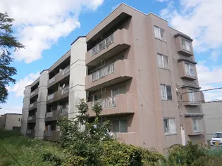 ニューシティー信濃 壱番館の画像