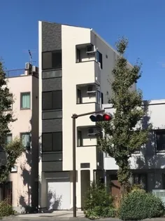 アウラ大島の画像