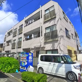 パインニードルの画像