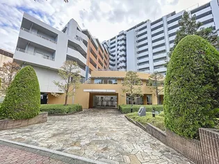 カウンテスコートの画像