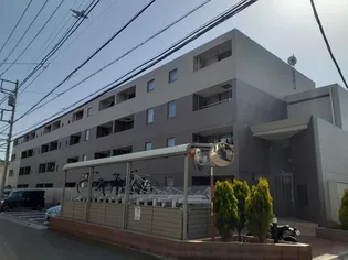 ベルマルーンの画像