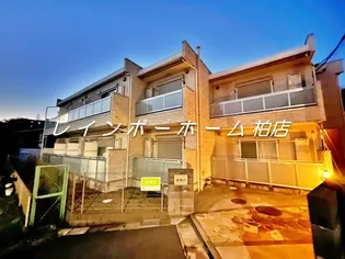 ピカソの画像