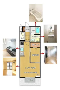 サン・ミシェル【1階】の間取り