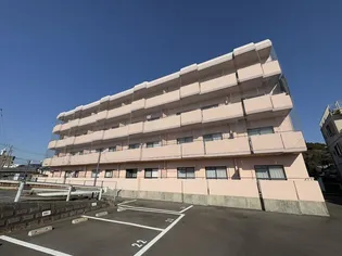 マミール97の画像