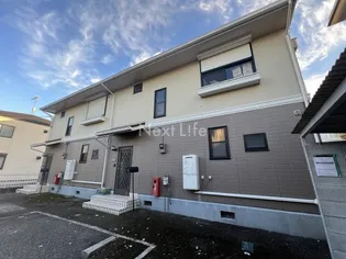 シャルムの画像