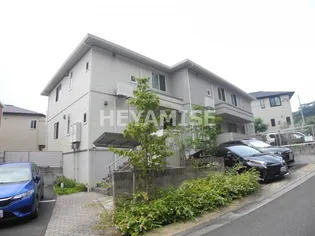 サンフラワーの画像