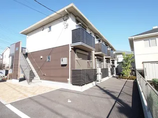 プリムローズの画像