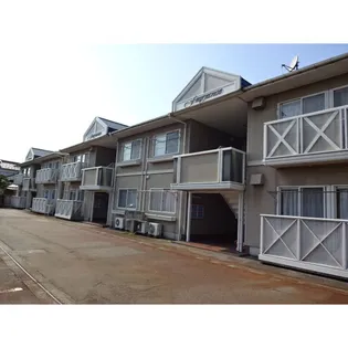 バウムみどりの画像