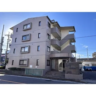 アピカル千王の画像