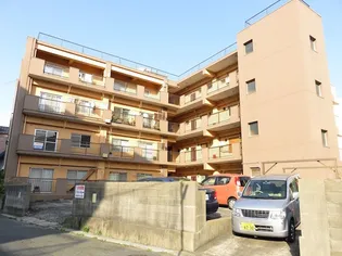 フェルトの画像