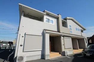 プルメリアの画像