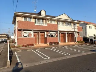 セロリーの画像