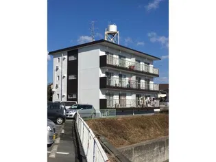 静岡県浜松市中央区富塚町【マンション】の外観