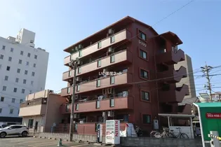 ショコラの画像