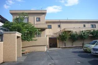 アネシスの画像