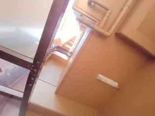 広島県広島市中区羽衣町【マンション】の外観