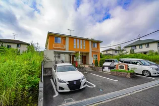 パフィオの画像