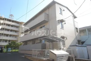 プリムローズの画像