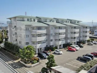 プレジデントステイツ上袋の画像