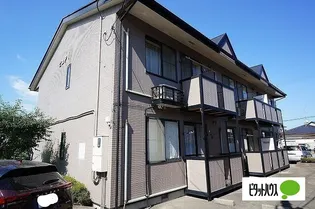 ピュア 1の画像