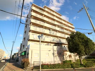 アビタ コアIの画像