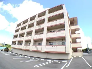 テラス タカラの画像