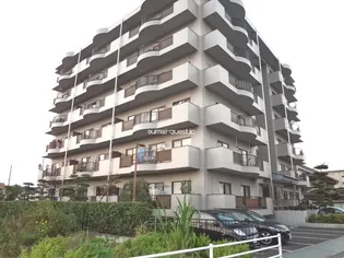 マーヴェラスの画像