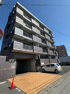 エル ミオーレの画像