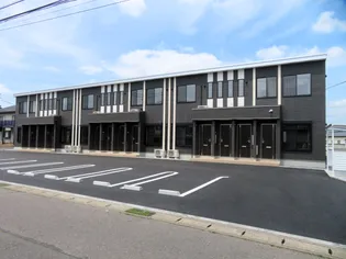 サンフラワーの画像