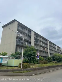 新狭山ハイツ1号棟の画像