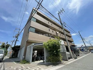 シャローム辻本の画像