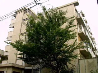 埼玉県さいたま市桜区中島1【マンション】の外観