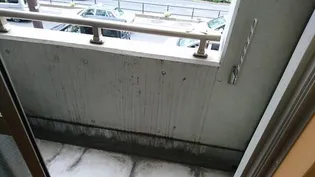 第27シンエイビル【2階】のその他画像