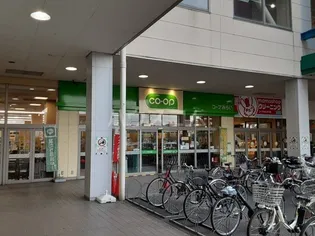 コープカネマス【3階】の周辺