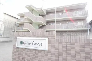 グリーンフォーレストの画像