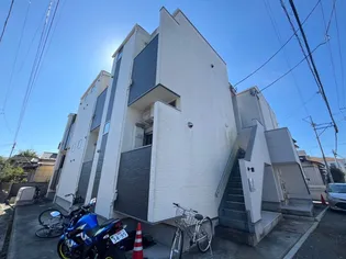 SETA BRILLANTEの画像