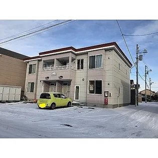 ルピナスの画像