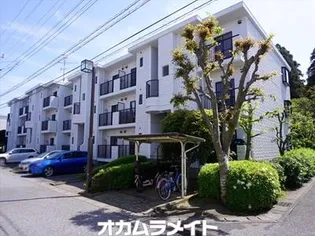 ロイヤルグリーン八千代4号棟の画像