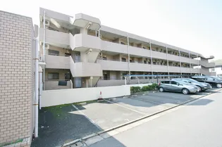 オリジン ドゥ テンプルの画像