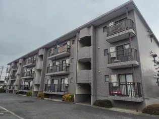 ヴェルドミールの画像