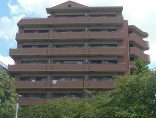 大阪府大阪市此花区西九条1【マンション】の外観