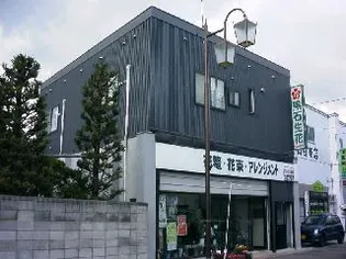 MOMO山田の画像