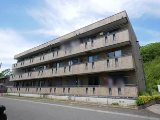 グレースヒルズII【2階】の外観