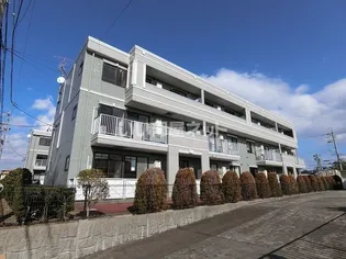 サ-フサイドサンシャイン S棟【1階】の外観