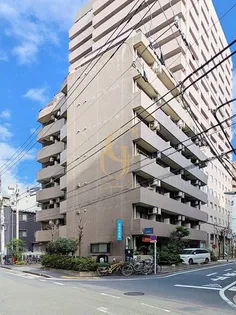 カテリーナ大森の画像