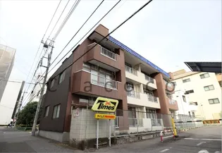 プラトー藤の画像