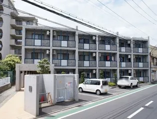 ビッグウィルの画像