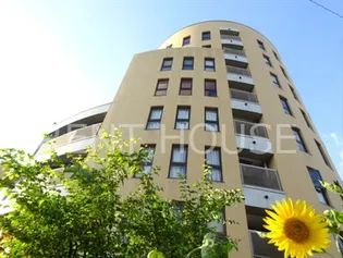 東京都世田谷区羽根木1【マンション】の外観